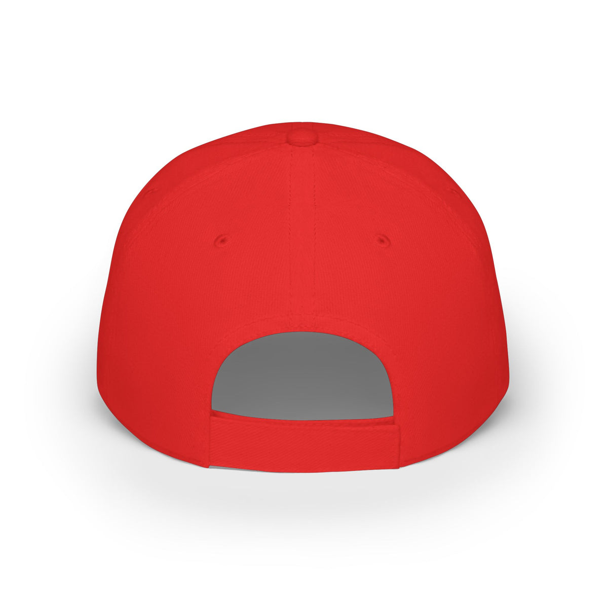 LRZ Sports Logo Hat  - Low Profile Baseball Cap - FREE SHIPPING