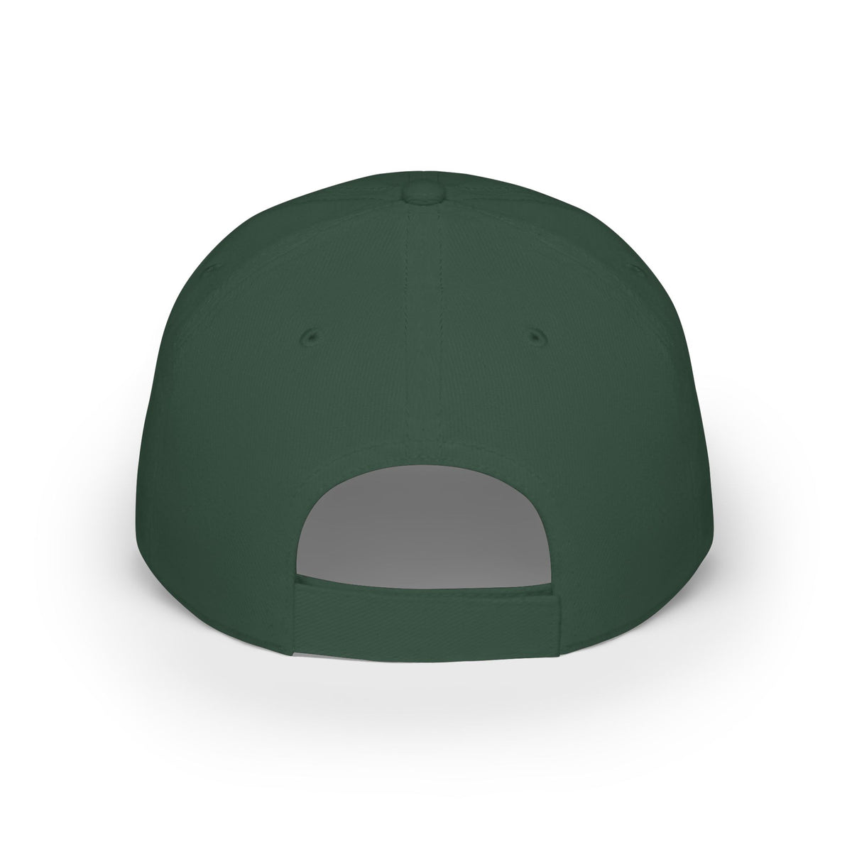 LRZ Sports Logo Hat  - Low Profile Baseball Cap - FREE SHIPPING
